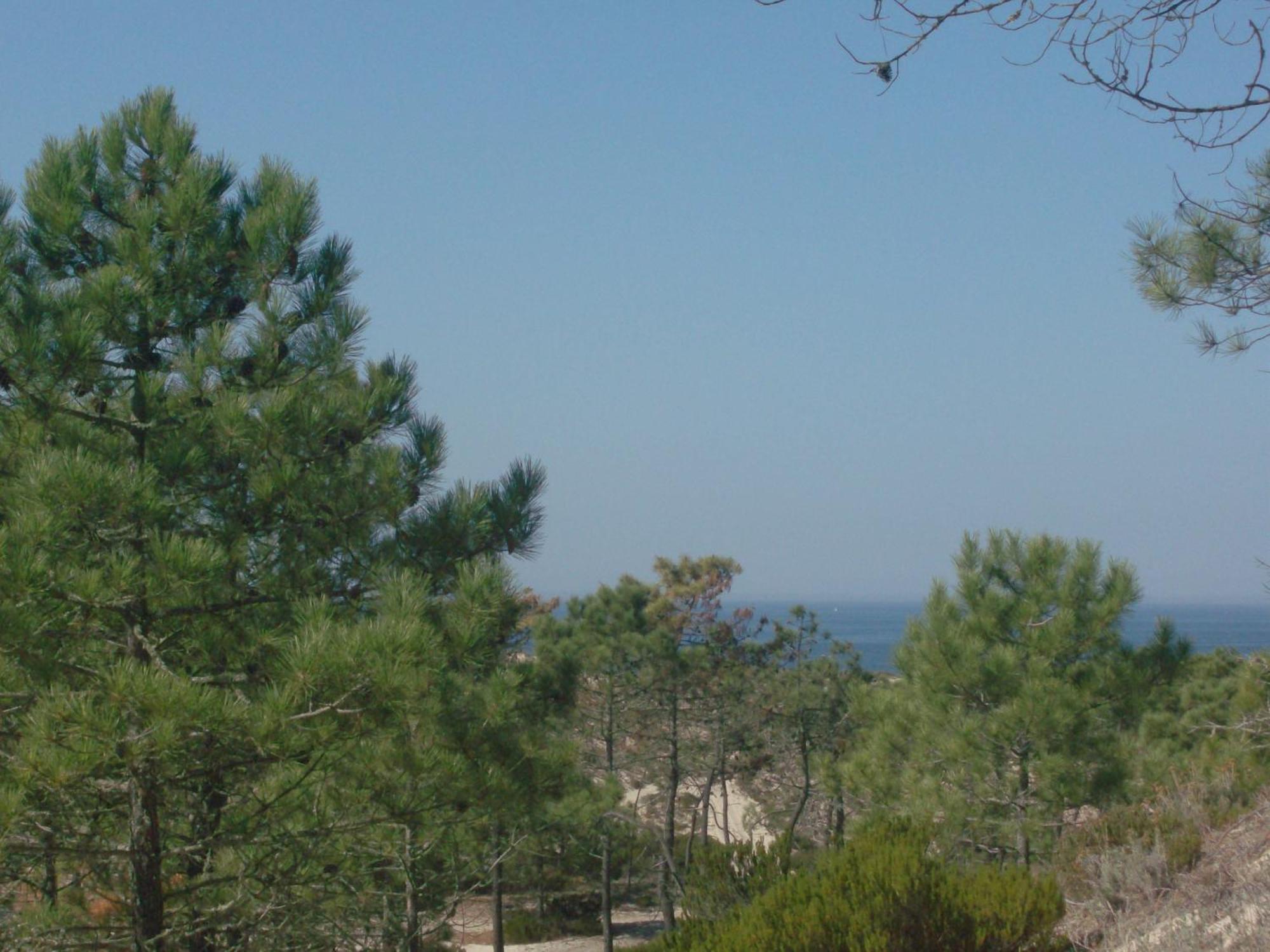 Alojamento Local Verde E Mar 콤포타 외부 사진